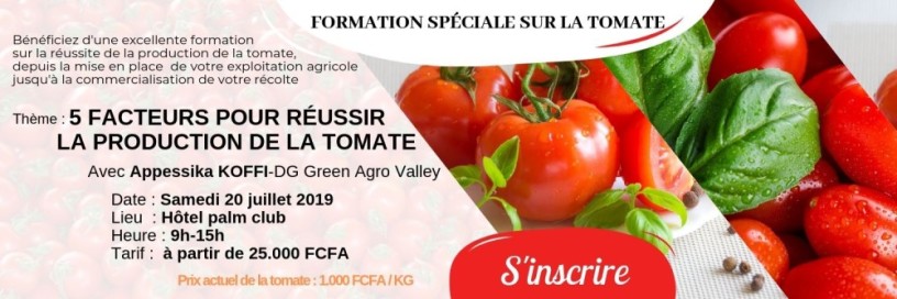 5-facteurs-pour-reussir-la-production-de-la-tomate-big-0