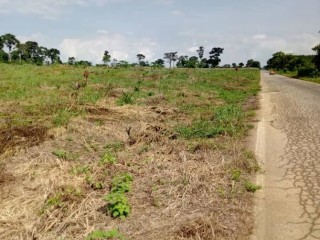 Toumodi en bordure de l ancienne autoroute vente plantation 9ha.