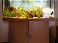 aquariums-small-3