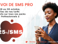 offre-flash-sms-professionnel-sms-pro-small-0