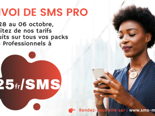 OFFRE FLASH SMS PROFESSIONNEL ( sms pro )