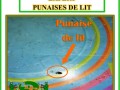 elimination-punaises-ou-puces-de-lit-small-0
