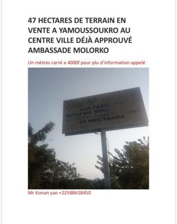 hectares-en-vente-a-yamoussoukro-au-centre-ville-big-0
