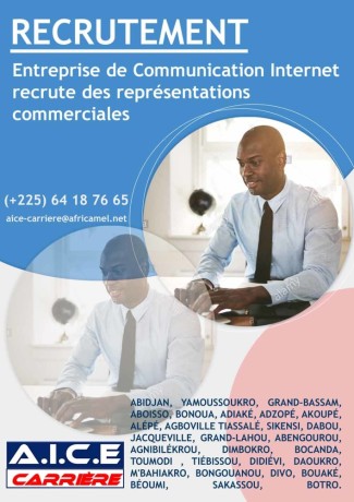 emploi-direct-entreprise-de-distribution-internet-recrute-des-representations-commerciales-big-0