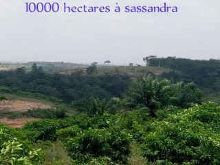 10.000 hectares de terrain brute en vente à Sassandra