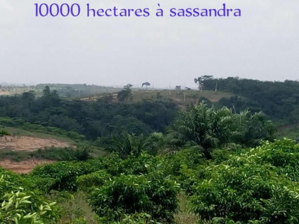 10000-hectares-de-terrain-brute-en-vente-a-sassandra-big-0