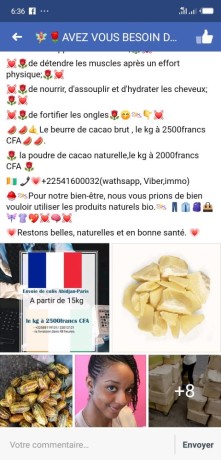 beurre-de-cacao-et-les-huiles-big-2